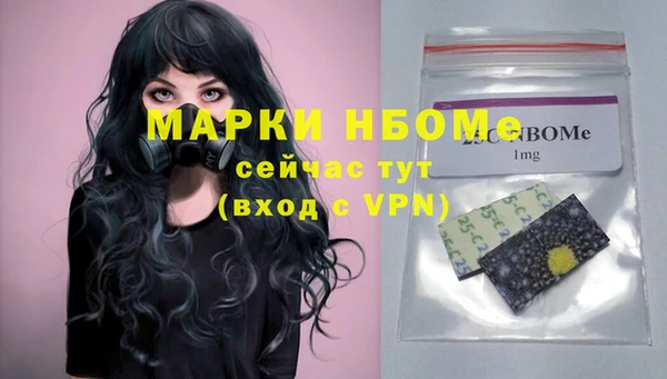 шишки Куйбышев
