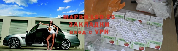 шишки Куйбышев