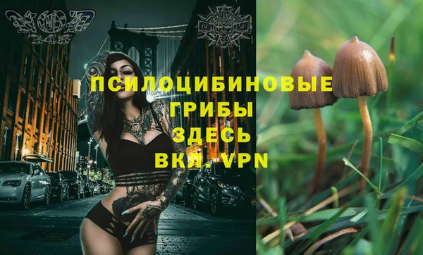 прущая мука Кулебаки