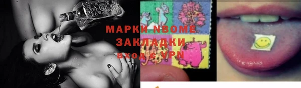 хмурый Бикин