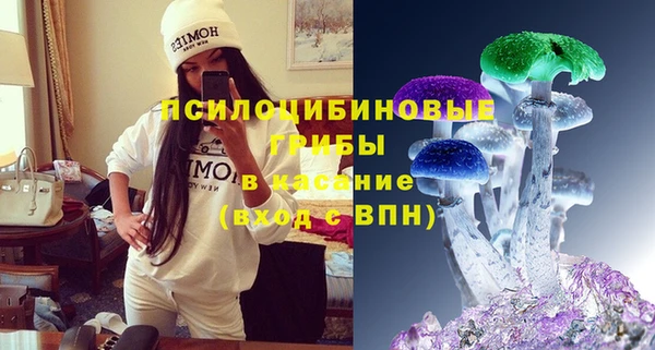 шишки Куйбышев